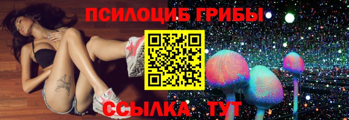 Нижний Новгород  Галлюциногенные грибы Magic Shrooms  Вход с VPN 